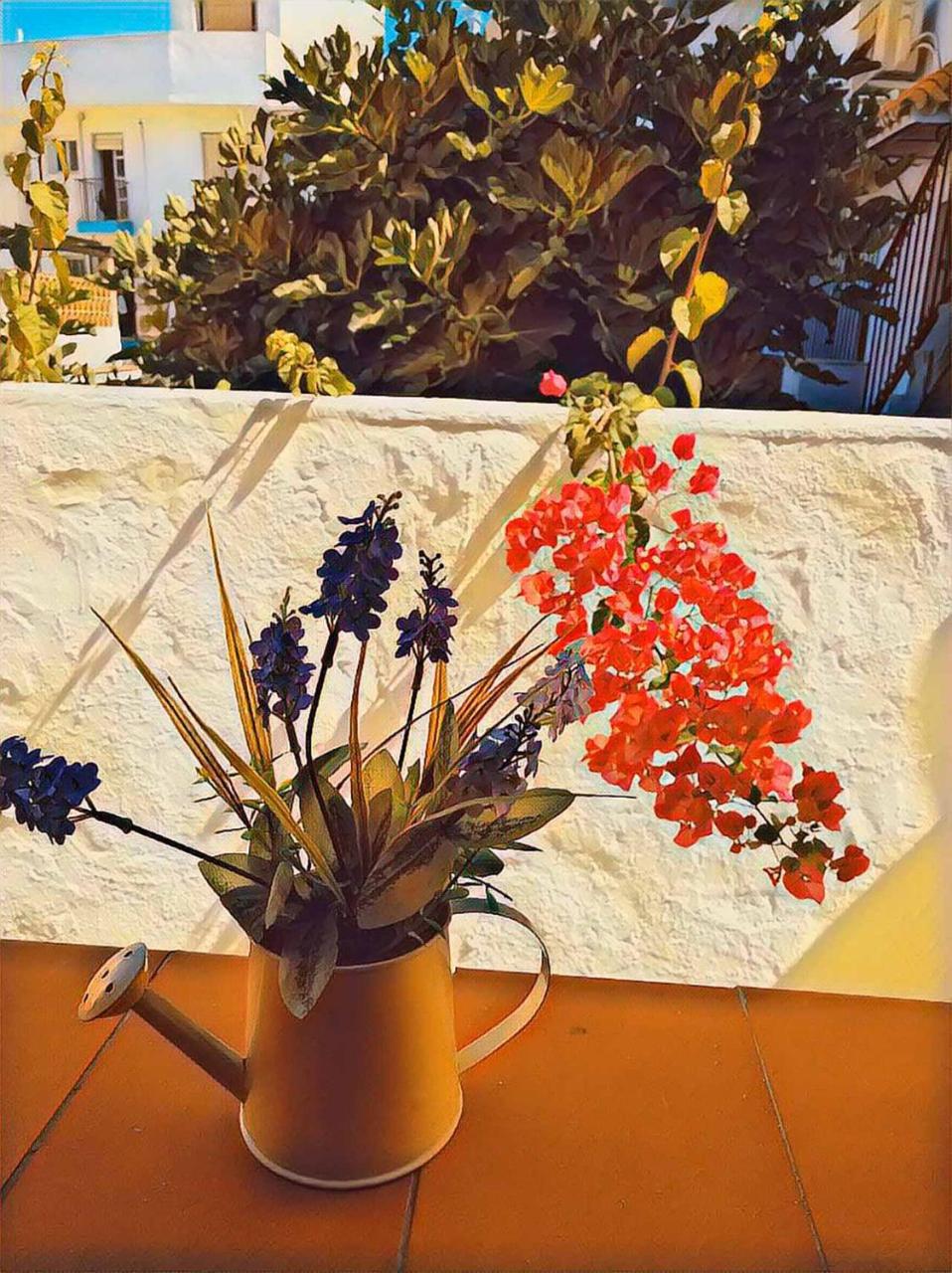 Lucero 12 Guest house